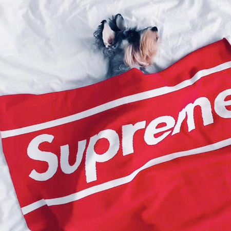 掛け布団 ペット用毛布 SUPREME