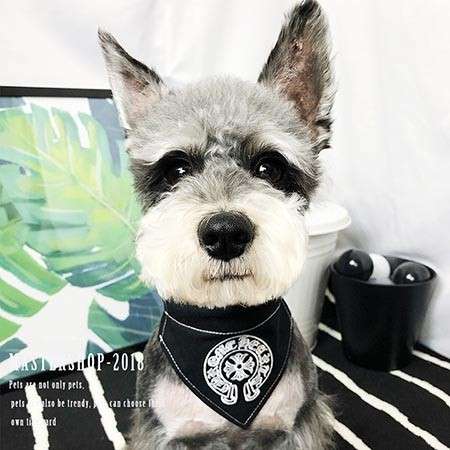 犬用品 中小型犬 Chrome Hearts